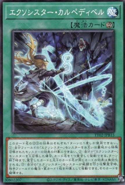 TT02-JPB15 Exosister Carpedivem (N)