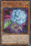 TW02-JP054 Brilliant Rose (P-N)