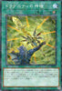 TW03-JP037 Dragunity Divine Lance (P-N)