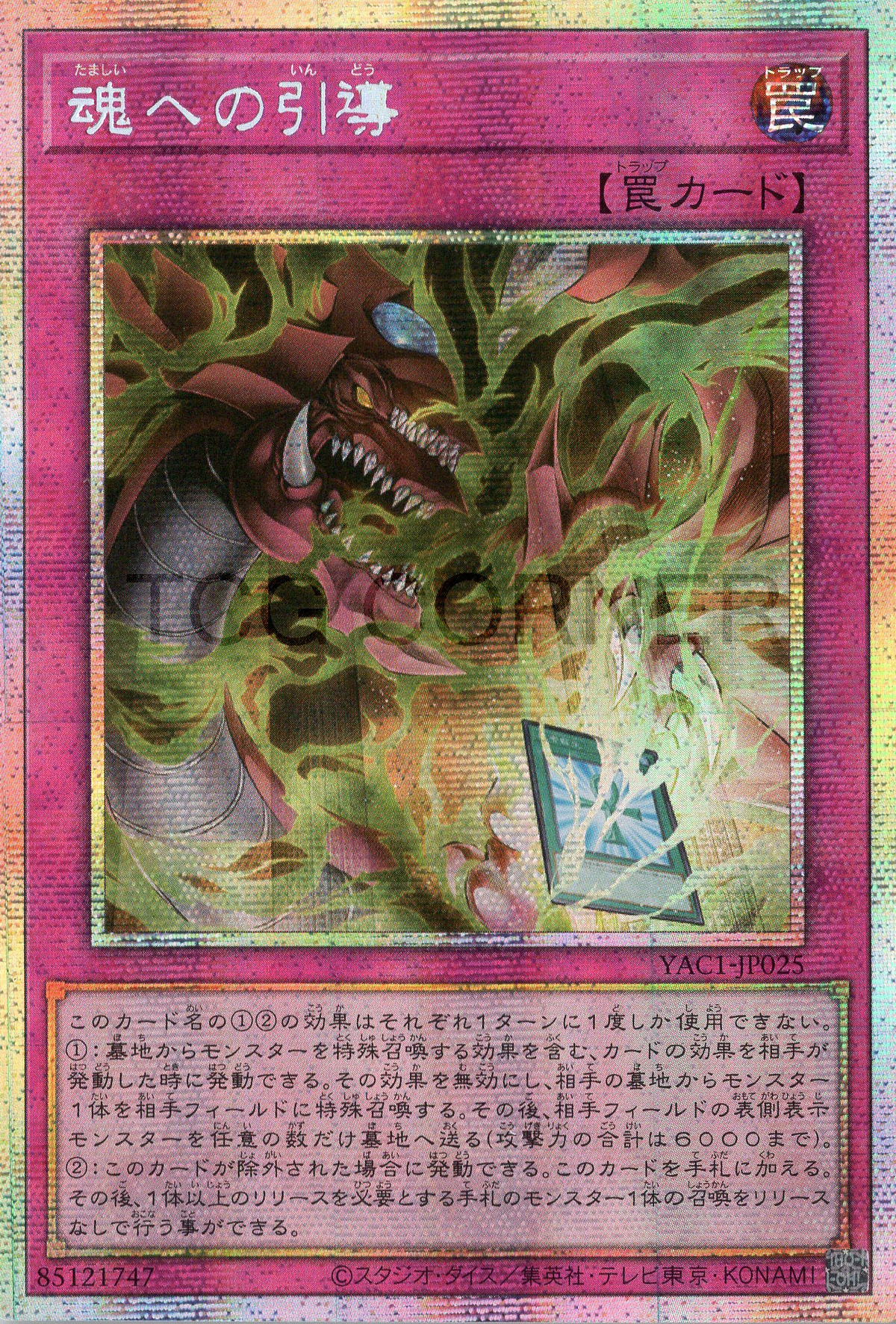 YAC1-JP025 Final Journey of the Soul (PSER)