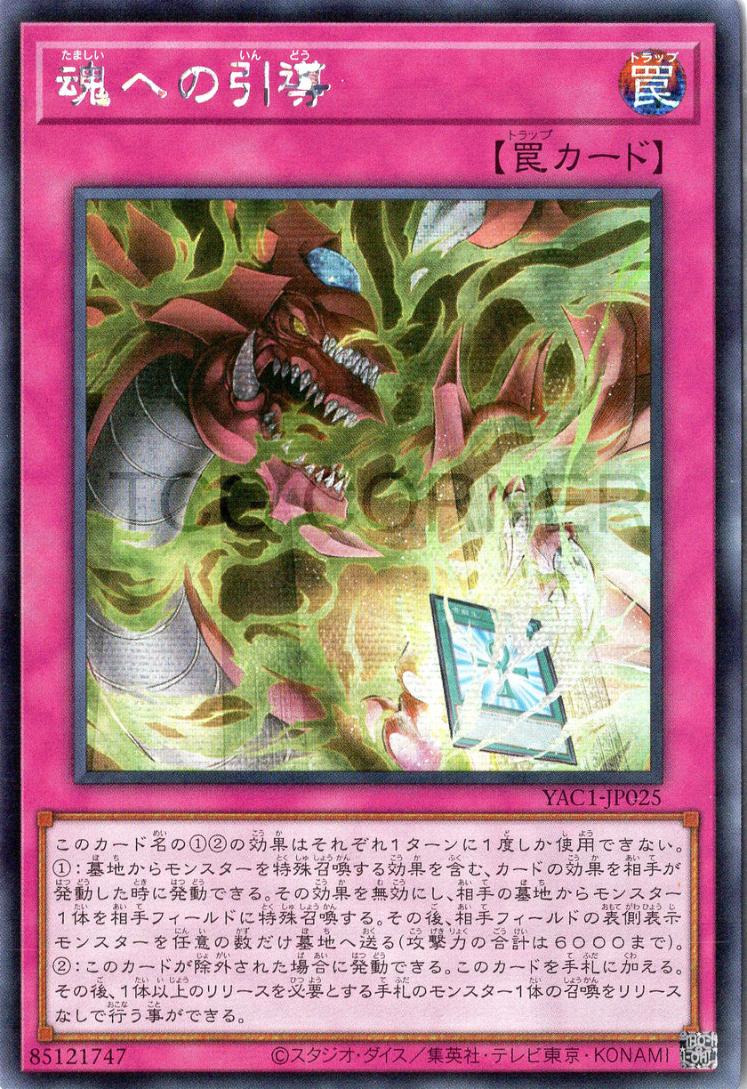 YAC1-JP025 Final Journey of the Soul (SER)