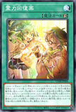 CORI-JP060 Spiritual Power Recovery Potion (N)