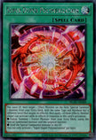 BLZD-AE069 Super Duper Polymerization (SER)