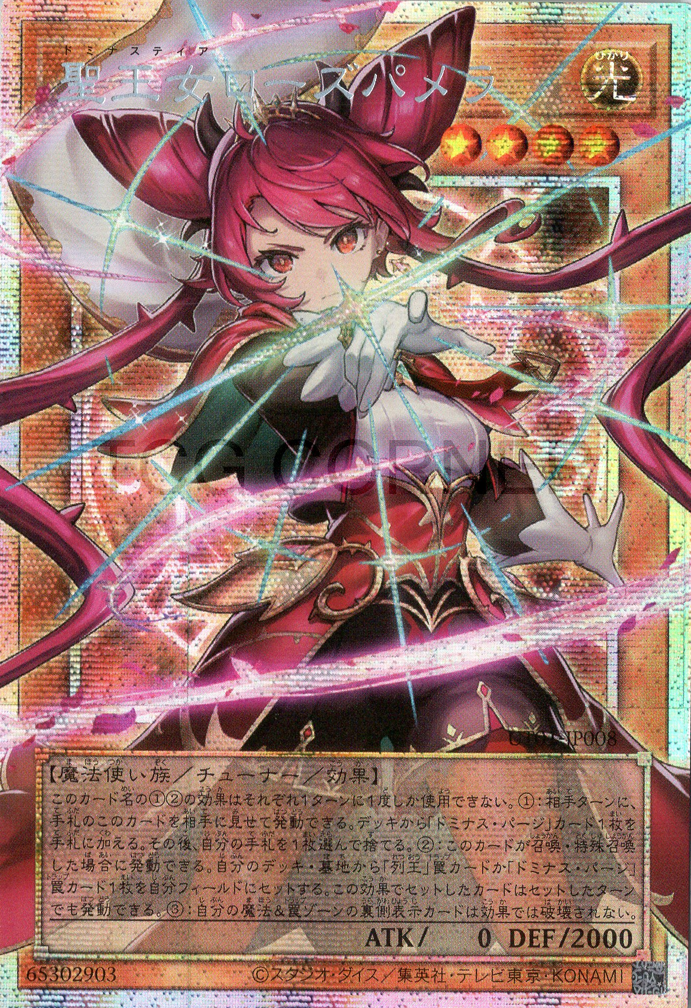 UT01-JP008 Dominusteer Rosepamela (PSER)