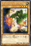 UT01-JP009 Angel Trumpeter (SER)