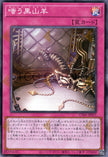 UT01-JP055 The Black Goat Laughs (SR)
