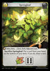 MRC-074 Springleaf (Common)