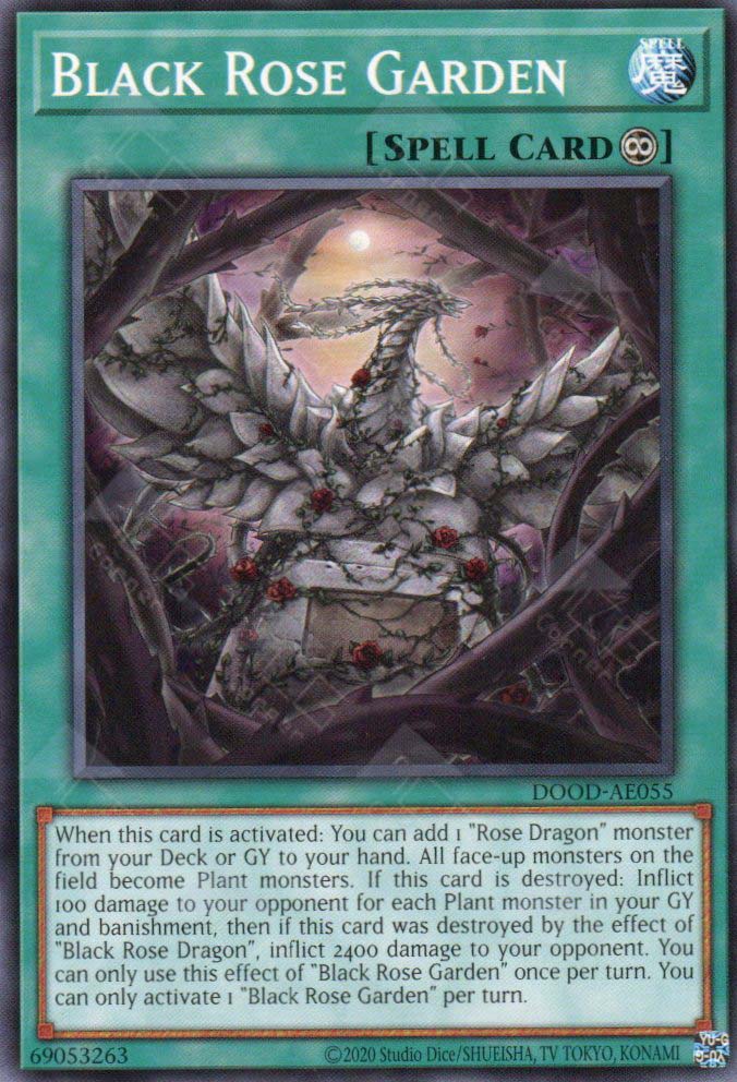 DOOD-AE055 Black Rose Garden (N)