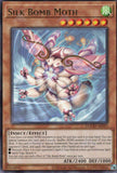 DOOD-AE093 Silk Bomb Moth (R)